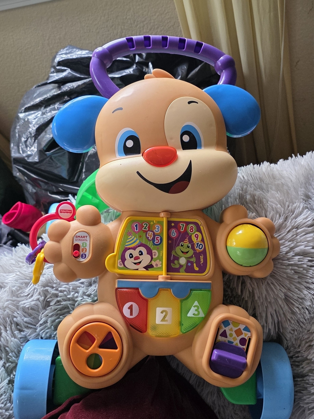 Fisher-Price Purple, Blue & Green Puppy Learning Walker
